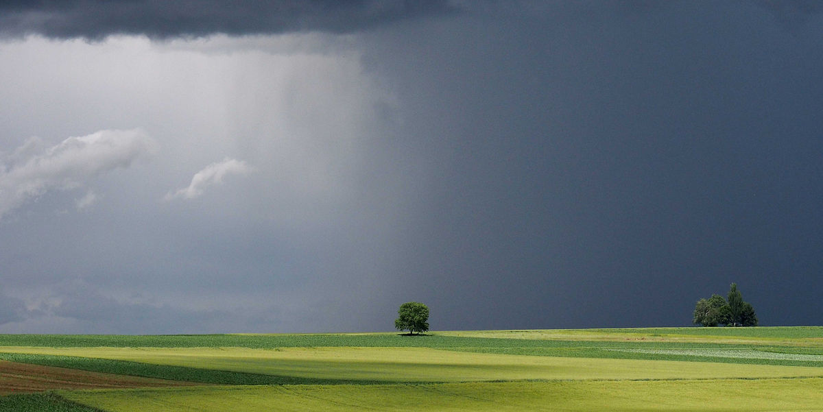 Crédit : Michel Friz