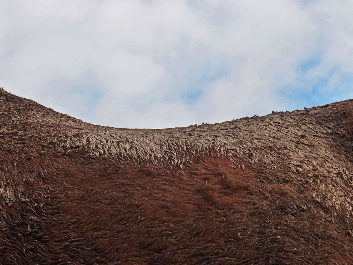 Crédit : Michel Friz