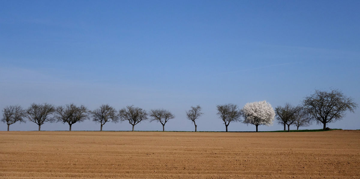Crédit : Michel Friz