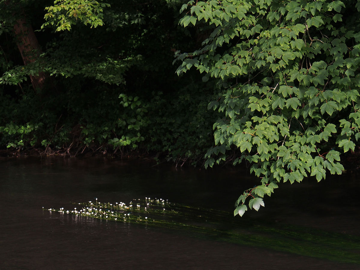 Crédit : Michel Friz