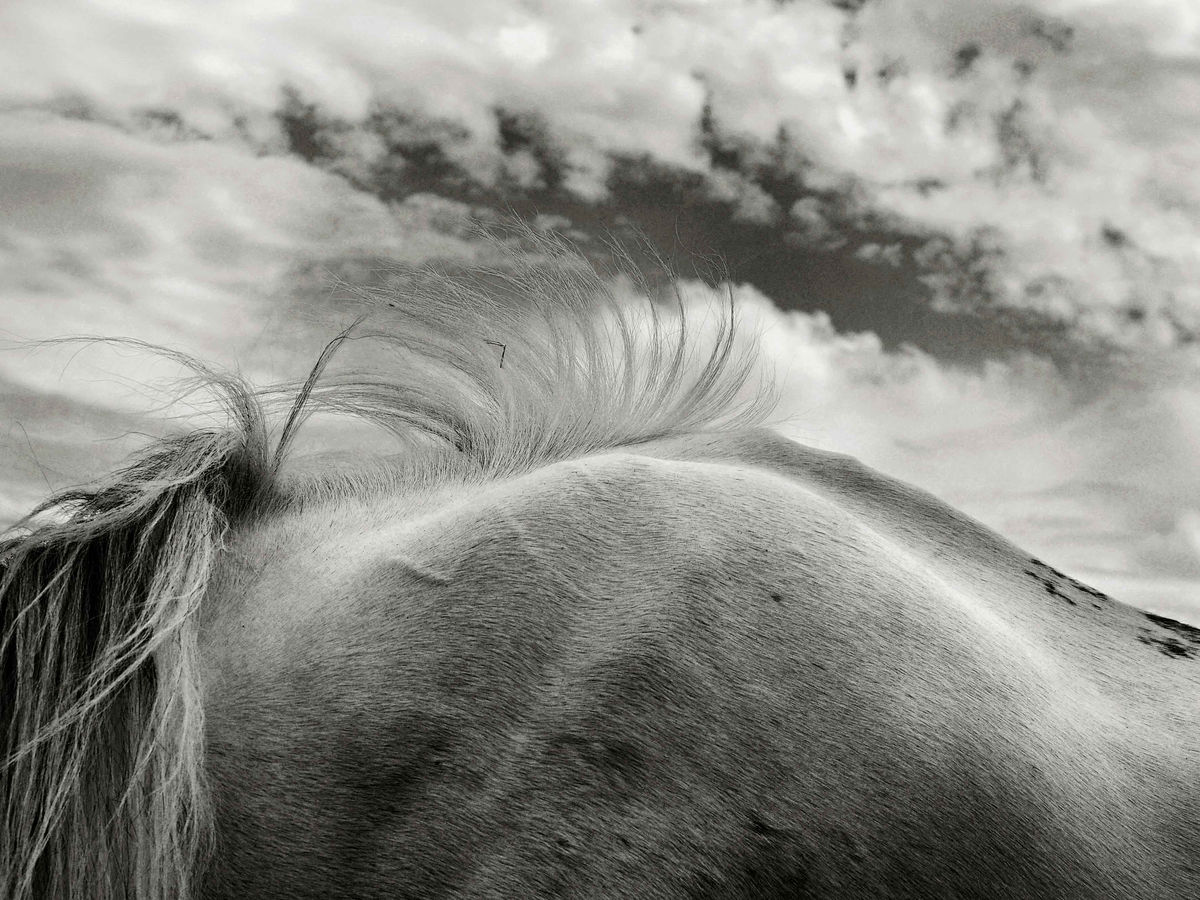 Crédit : Michel Friz