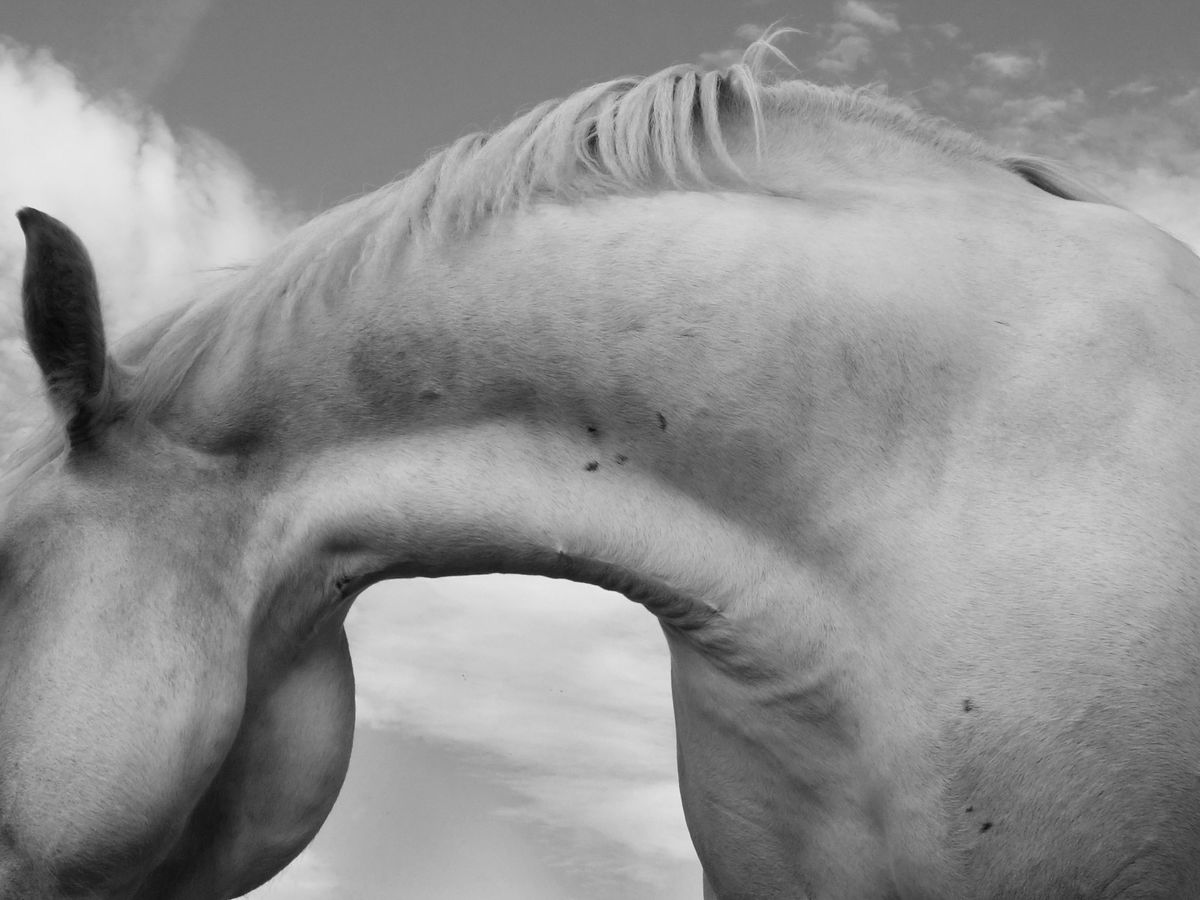 Crédit : Michel Friz