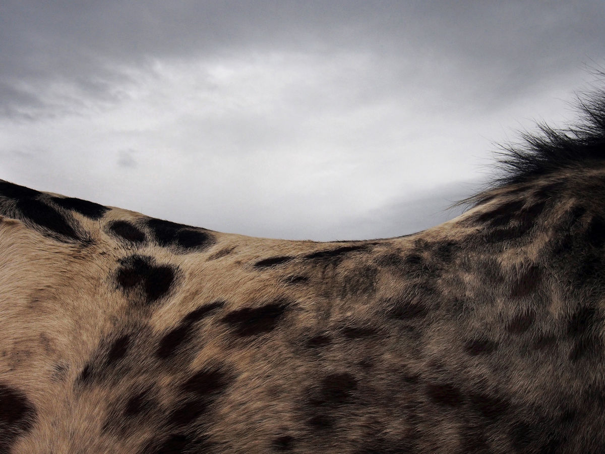 Crédit : Michel Friz